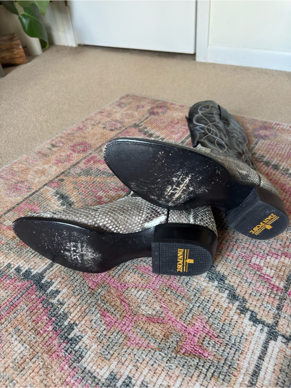 Dan Post Manning Python Boots - Picture 7 of 9